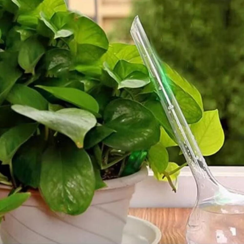 Alimentador De Agua Autom&aacute;tico Para Plantas 10 Pzas image number 2.0