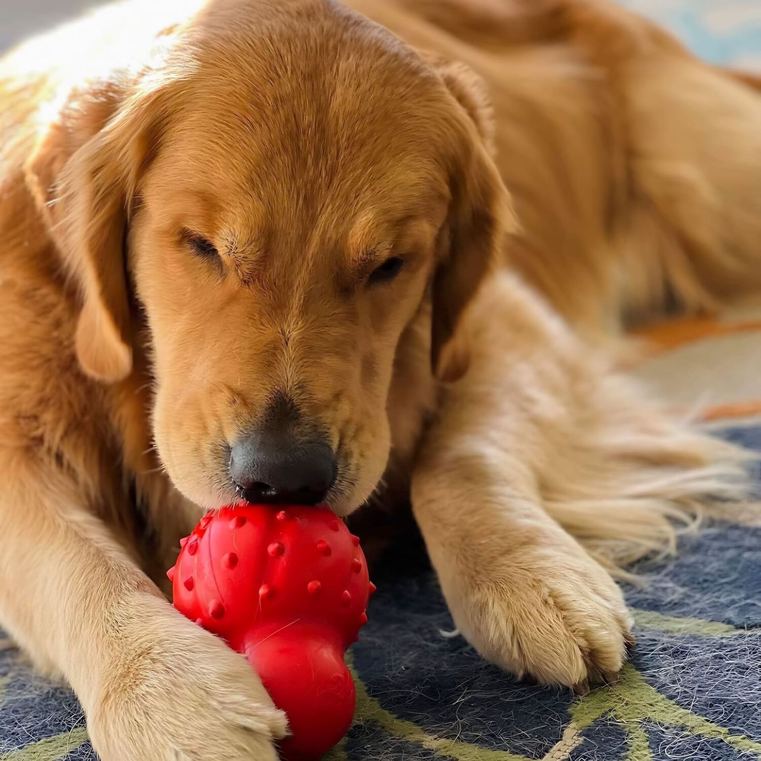 Juguete Masticable 3 En 1 Para Perro Nylanobe Strong Chew "l" image number 4.0