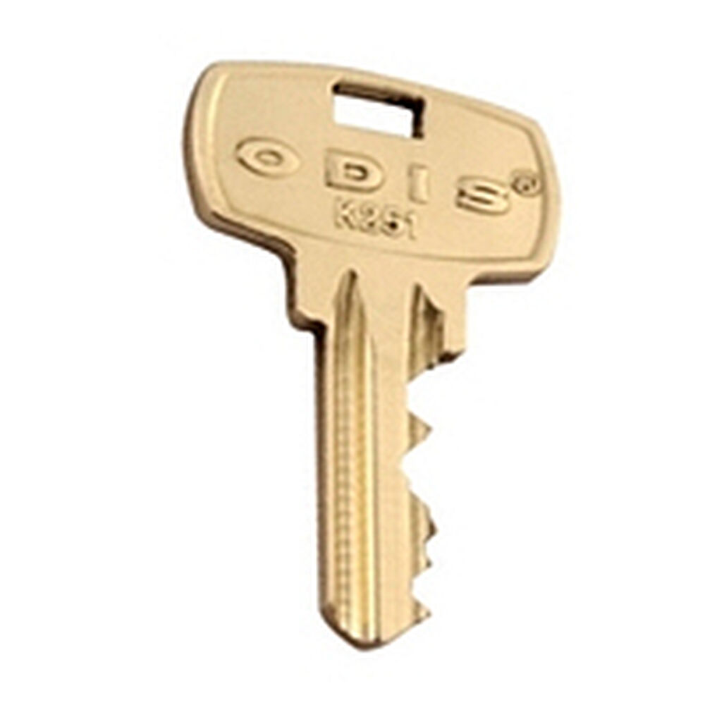 Paleta K261 Odis - 50 Unidades image number 1.0