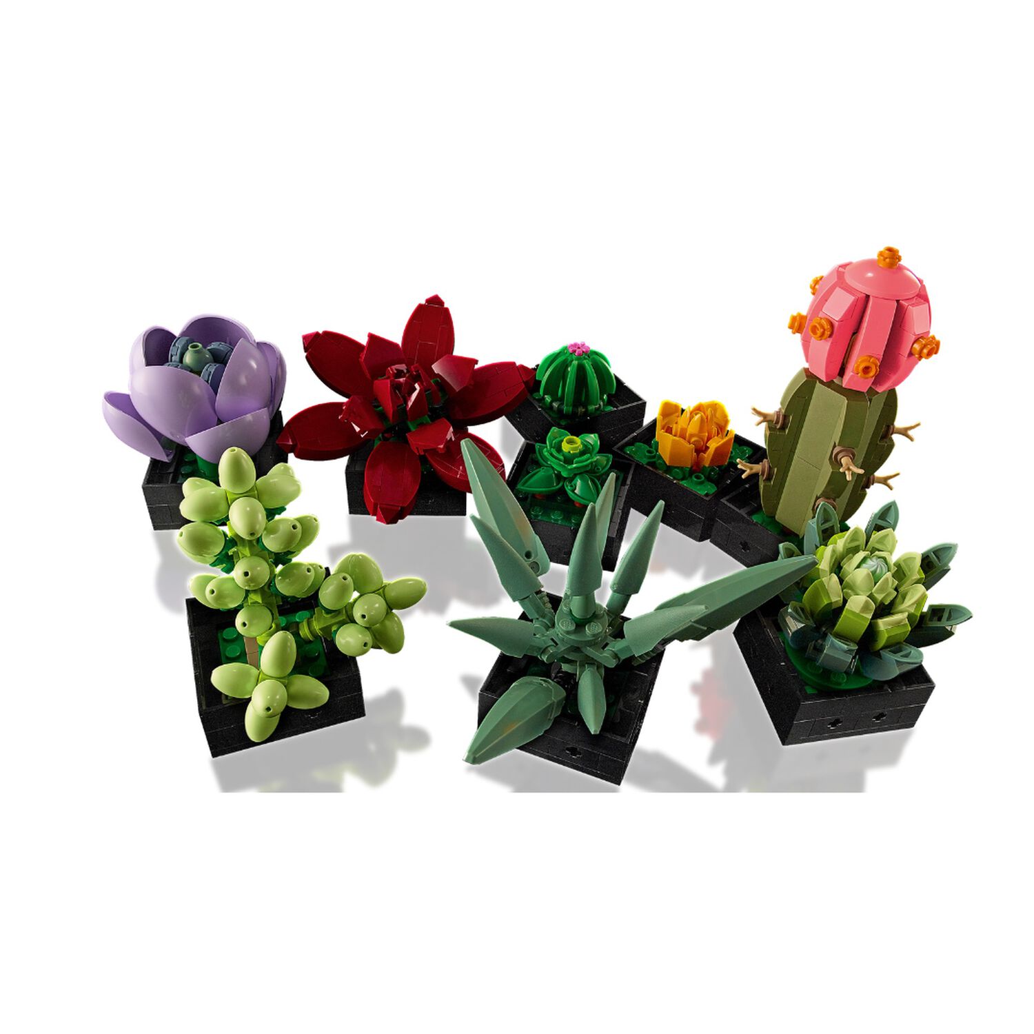 Lego Botanicals - Suculentas - 10309 image number 3.0