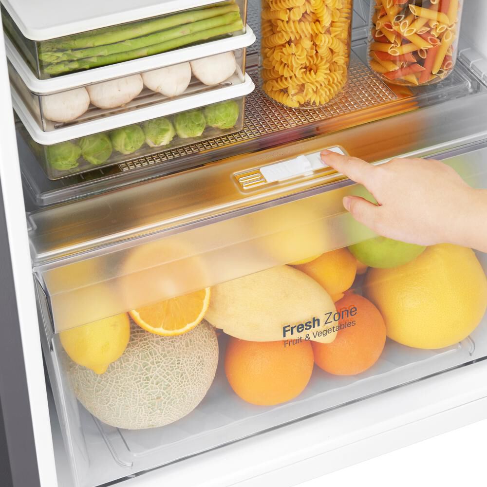 Refrigerador Top Freezer LG GT29BPPK / No Frost / 254 Litros / A+ image number 8.0