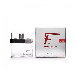 Salvatore Ferragamo F By Ferragamo Pour Homme 100ml