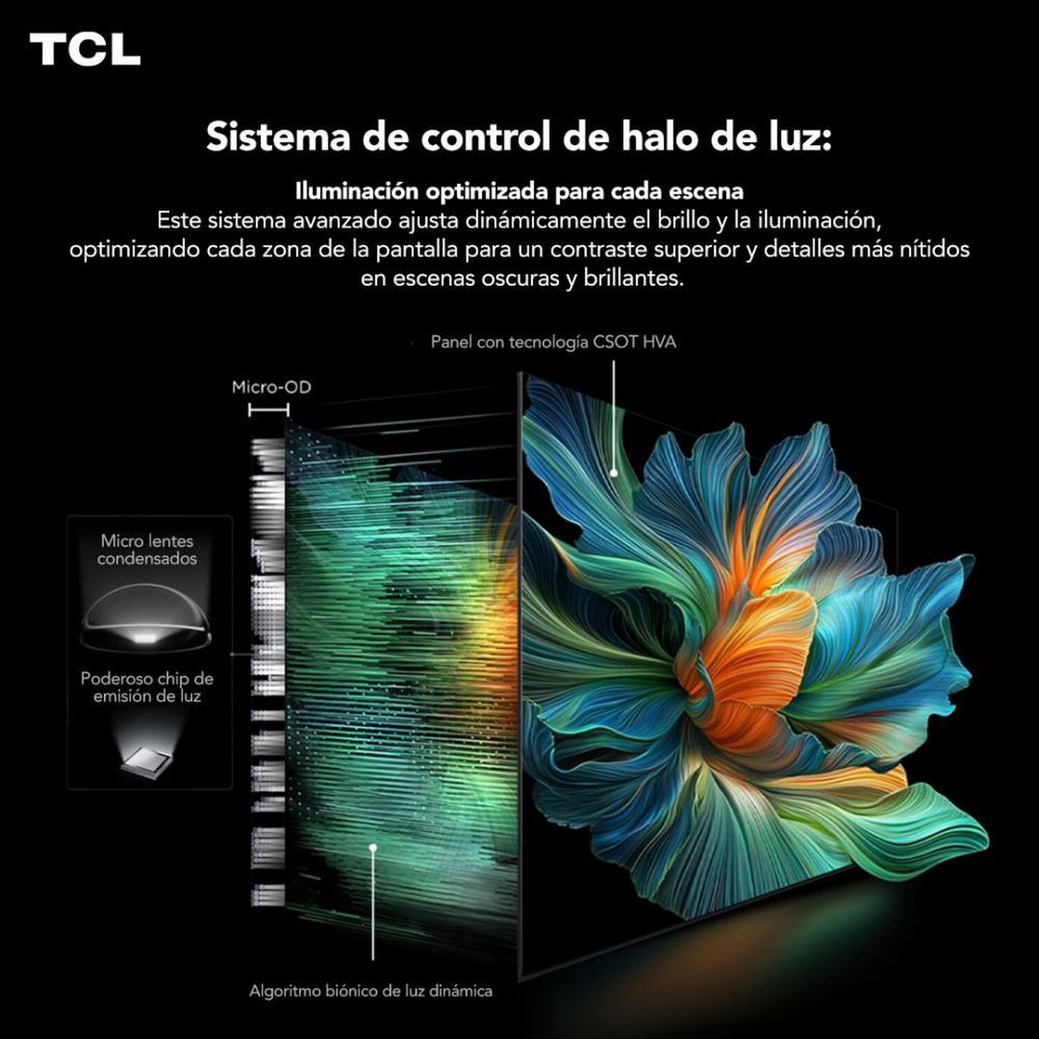 Mini LED 65" TCL C6K / Ultra HD / Smart TV image number 2.0