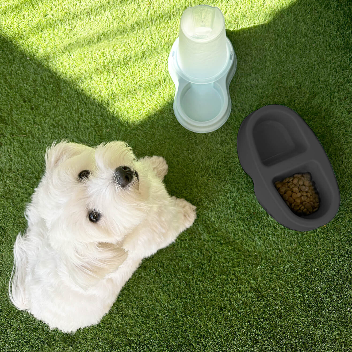 Comedero Bebedero Doble Para Mascota Negro 100ml Cool Pets image number 3.0