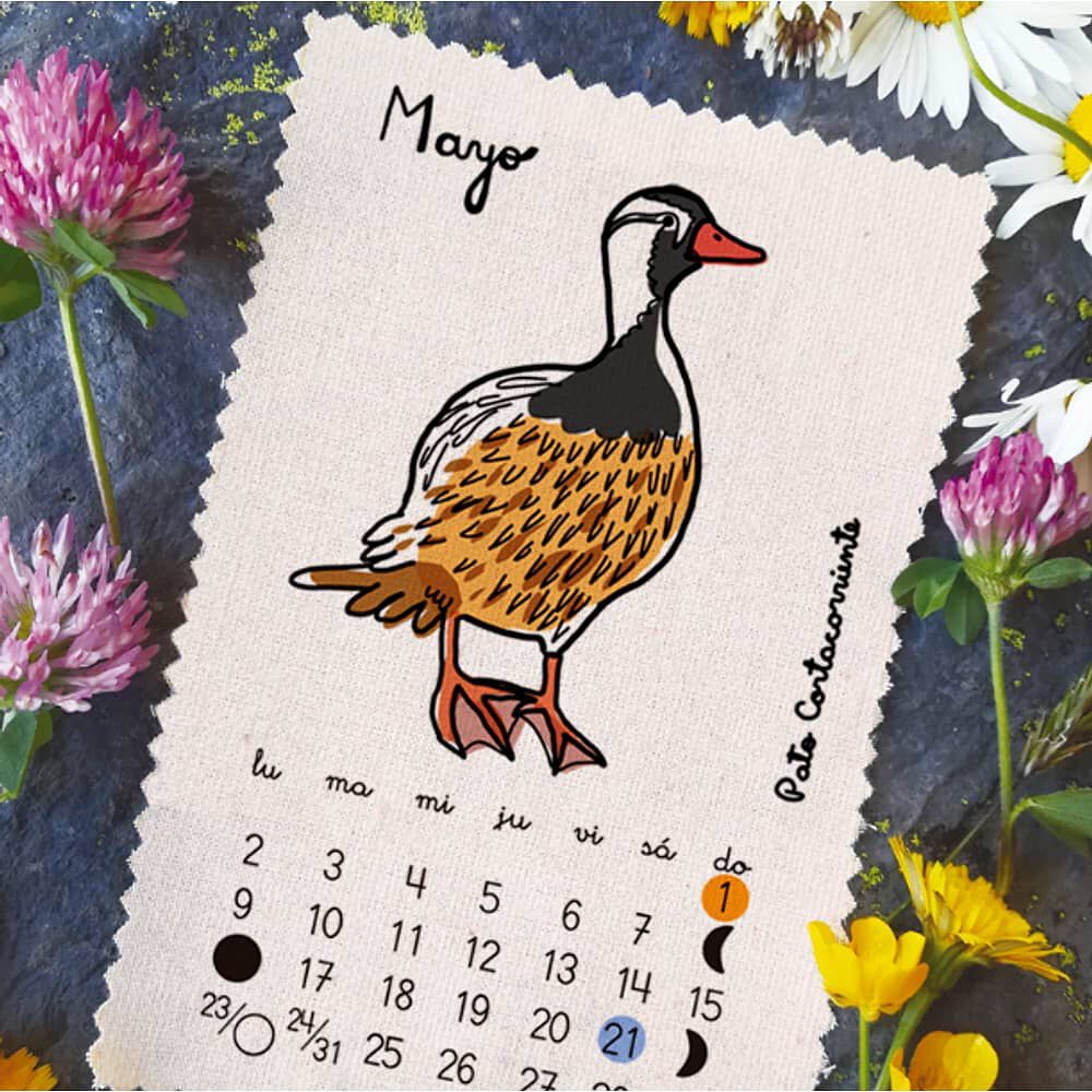 Calendario 2022 Aves Pajarito De Mimbre image number 5.0