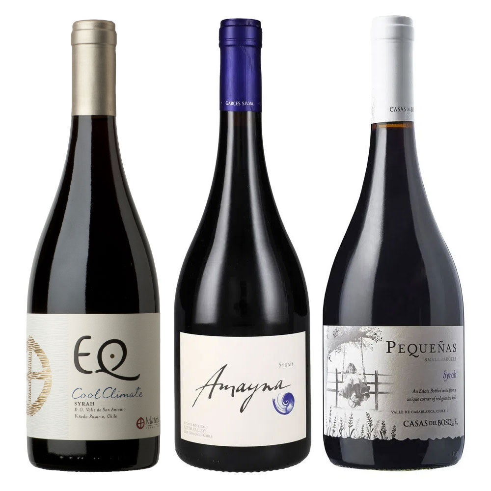 3 Vinos Mix Alta Gama Syrah. image number 0.0