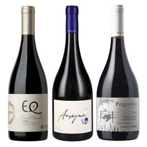 3 Vinos Mix Alta Gama Syrah.