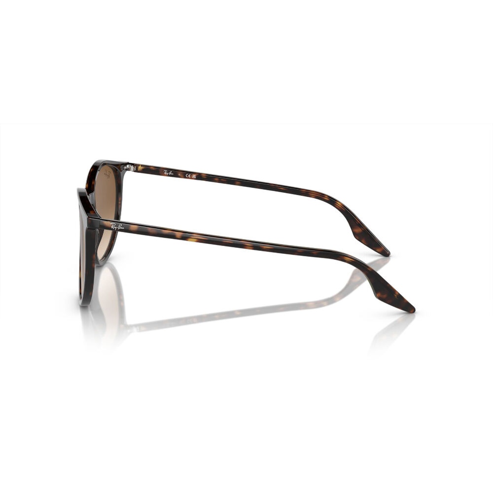 Lentes De Sol Havana Ray-ban image number 2.0