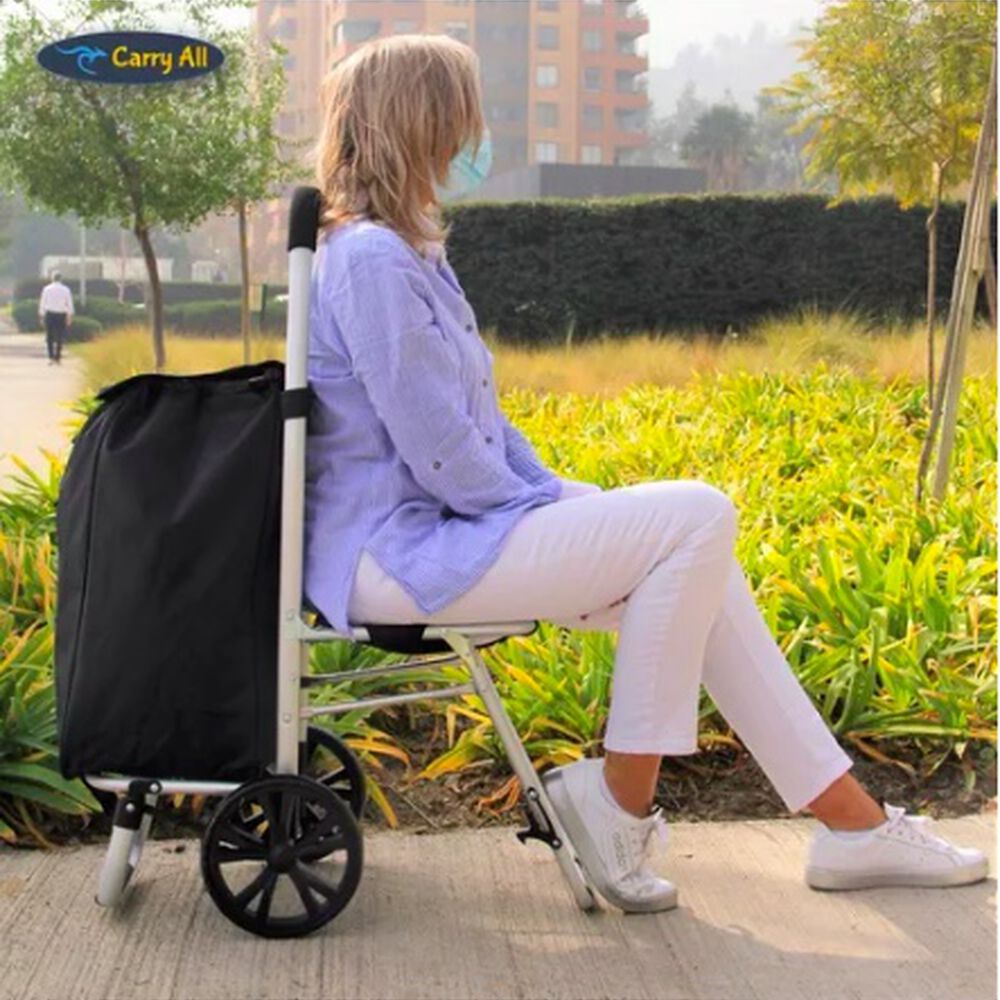 Carrito De Compras Plegable Con Silla image number 1.0