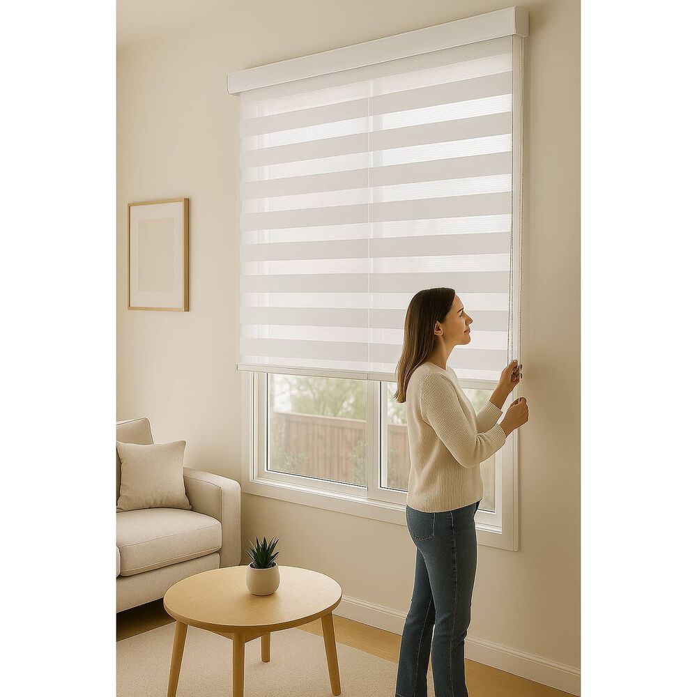 Cortina Roller Duo Zebra Dia Y Noche 060x160 image number 1.0