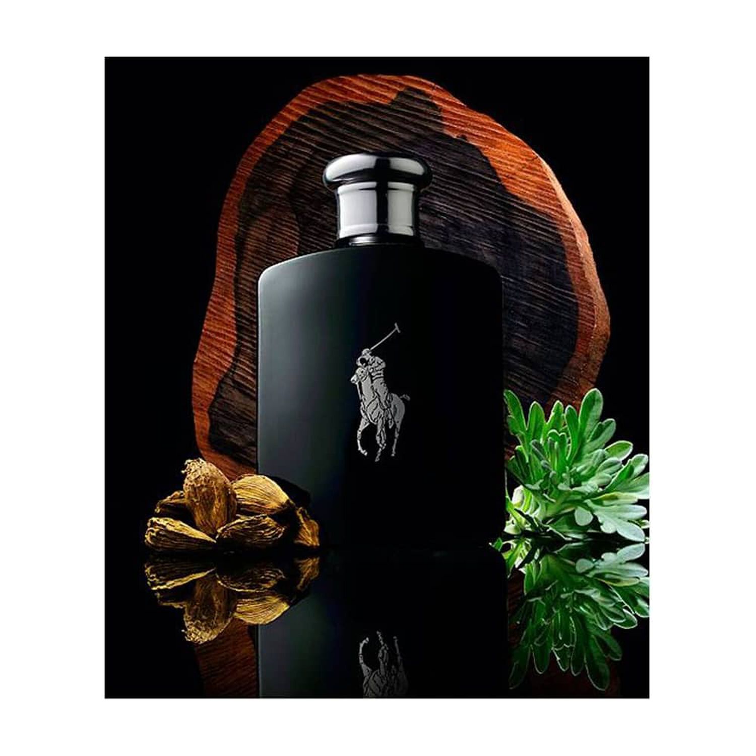 Polo Black 125 Ml Edt Ralph Lauren image number 2.0