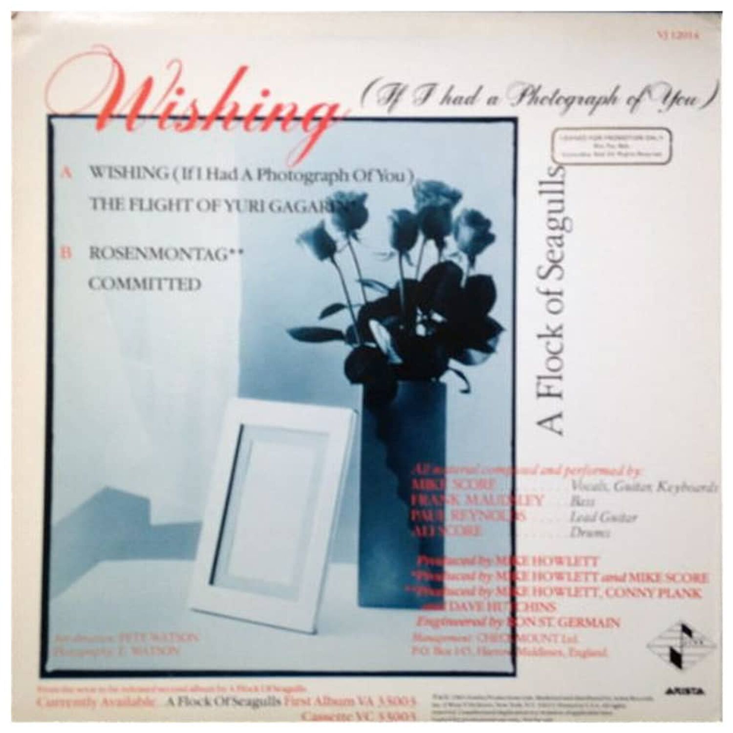 A Flock Of Seagulls - Wishing | 12" Maxi Single Usado image number 1.0