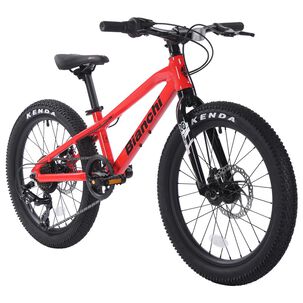 Bicicleta Infantil Bianchi Bianchi Alloy 20 / Aro 20