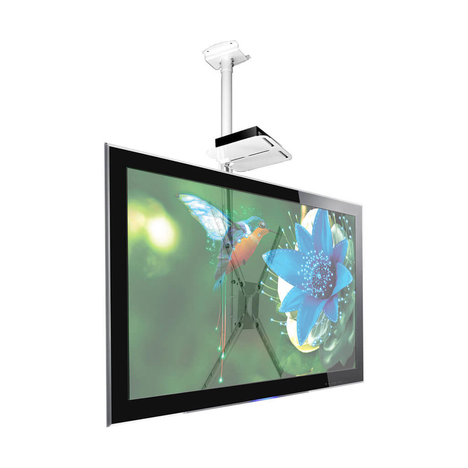 Soporte De Techo Para Tv 10" A 60" + Deco - Blanco Sbrp150b - Brasforma image number 1.0