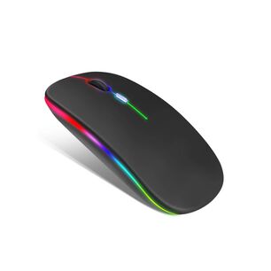 Mouse Raton Recargable Usb Bluetooh Compatible Para Mac Y 2,4ghz Conexi&oacute;n Inalambrico