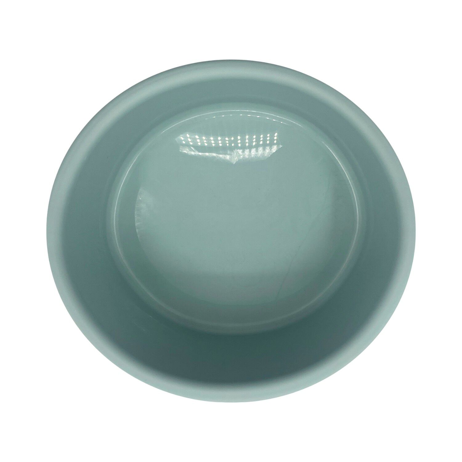 Plato Comedero Bebedero Para Mascota Menta 1 L Cool Pets image number 4.0