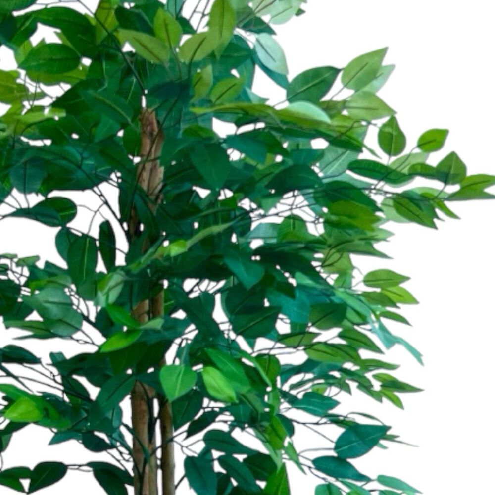 Planta Artificial Ficus Premium 160 Cm./ 1008 Hojas image number 1.0