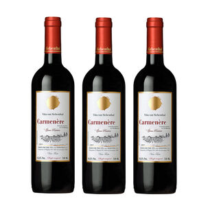 3 Vinos Von Siebenthal Gran Reserva, Carmenere
