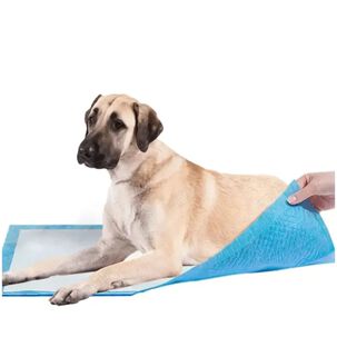 Sabanillas De Entrenamiento Perros 8 Unidades 45x60 Olor Manzana