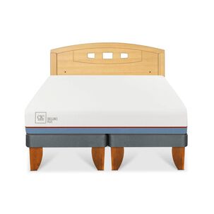 Cama Europea Cic Excellence Plus / 2 Plazas / Base Dividida + Respaldo