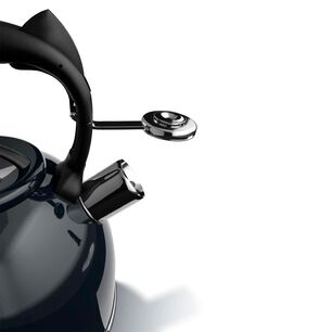 Tetera Acero Inoxidable Con Silbato Wens 3l Negro