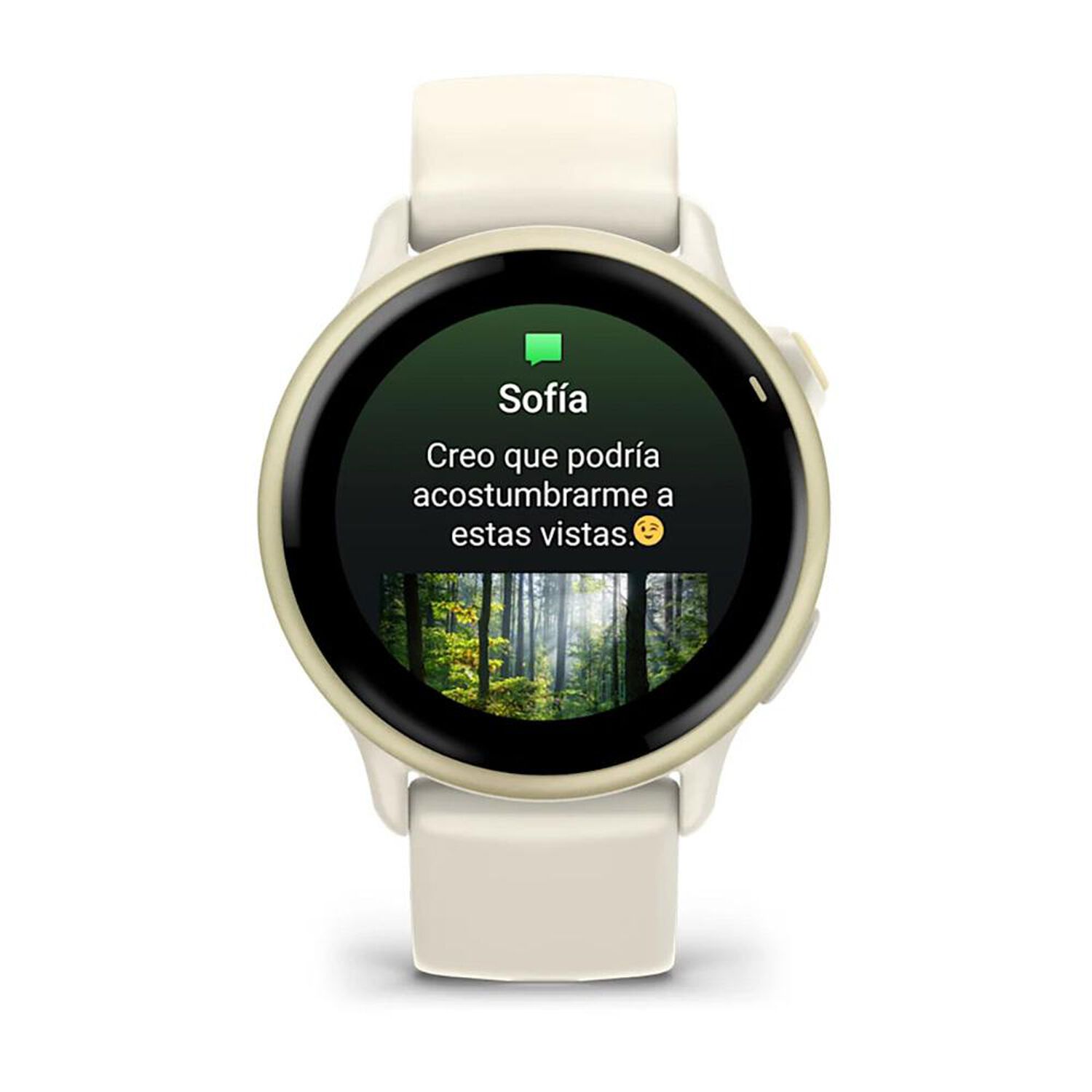 Smartwatch Garmin Vivoactive 6 GPS / 30,4 mm image number 7.0