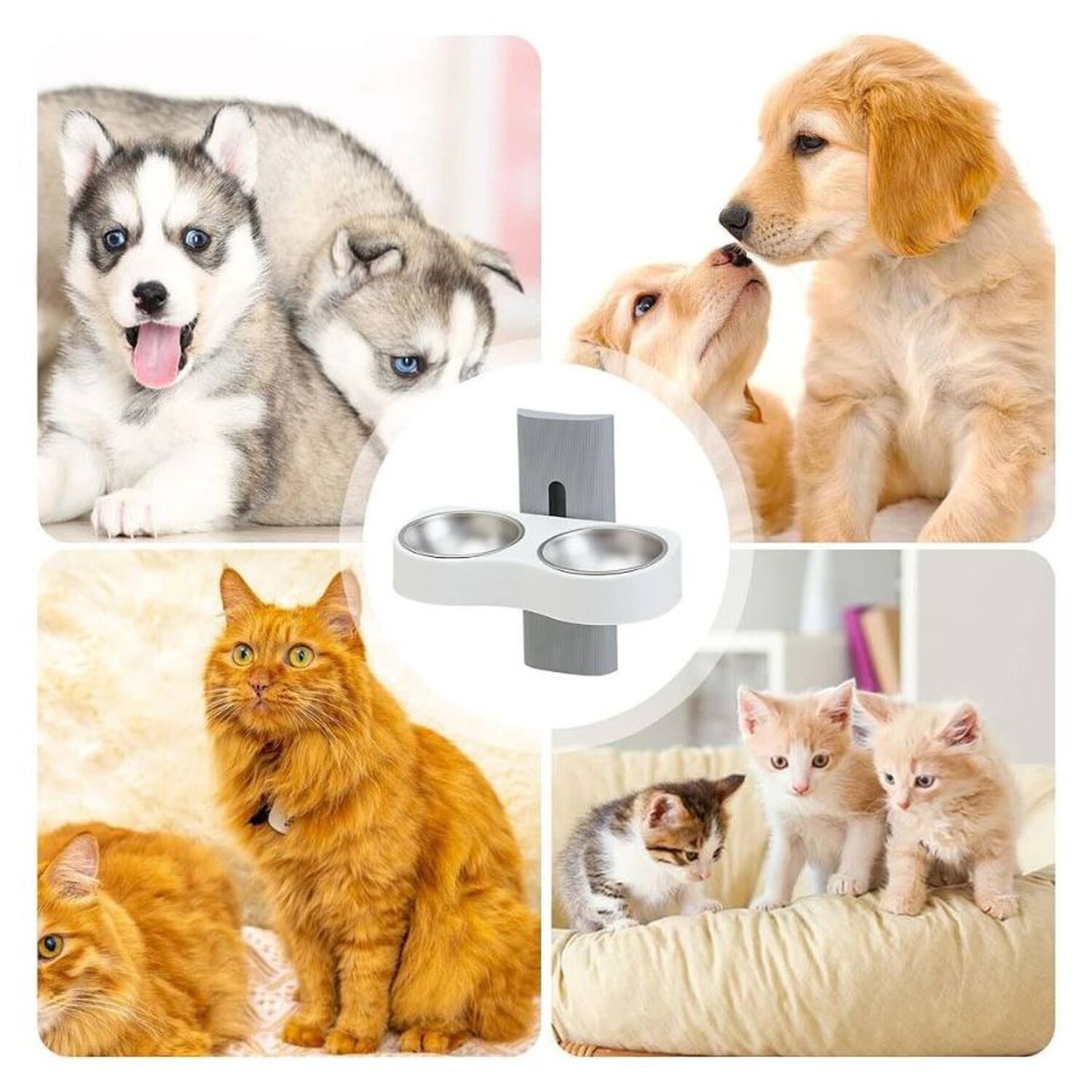 Comedero Doble De Pared Para Gatos Perros Altura Ajustable image number 3.0