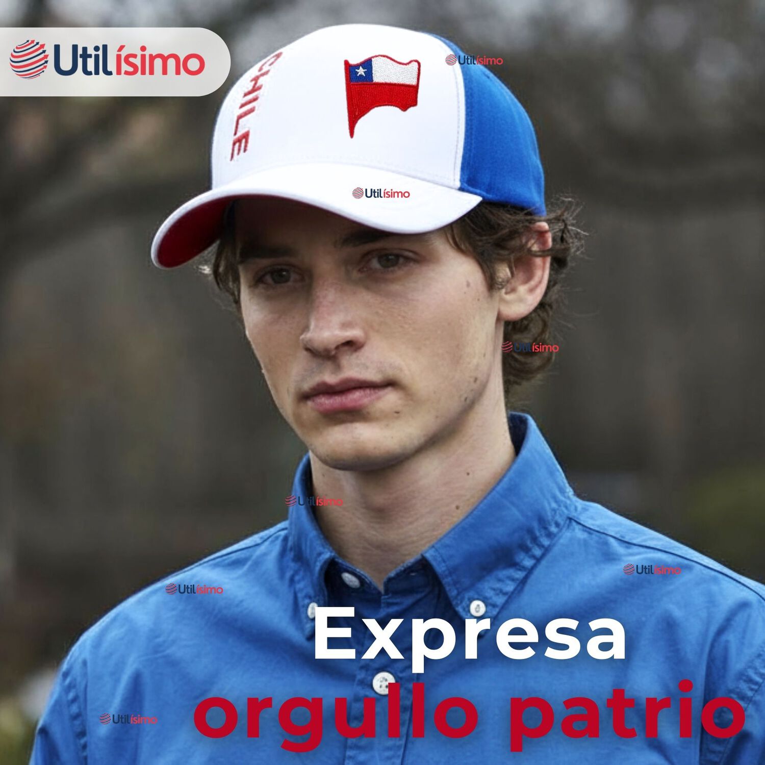 Gorro Jockey Talla &Uacute;nica Alta Calidad Poli&eacute;ster Estampado Chileno image number 5.0