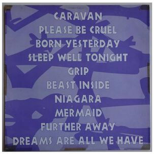 Inspiral Carpets - The Beast Inside | Vinilo Usado