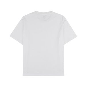Polera Hombre Rolly Go