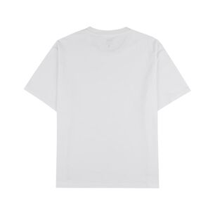 Polera Hombre Rolly Go