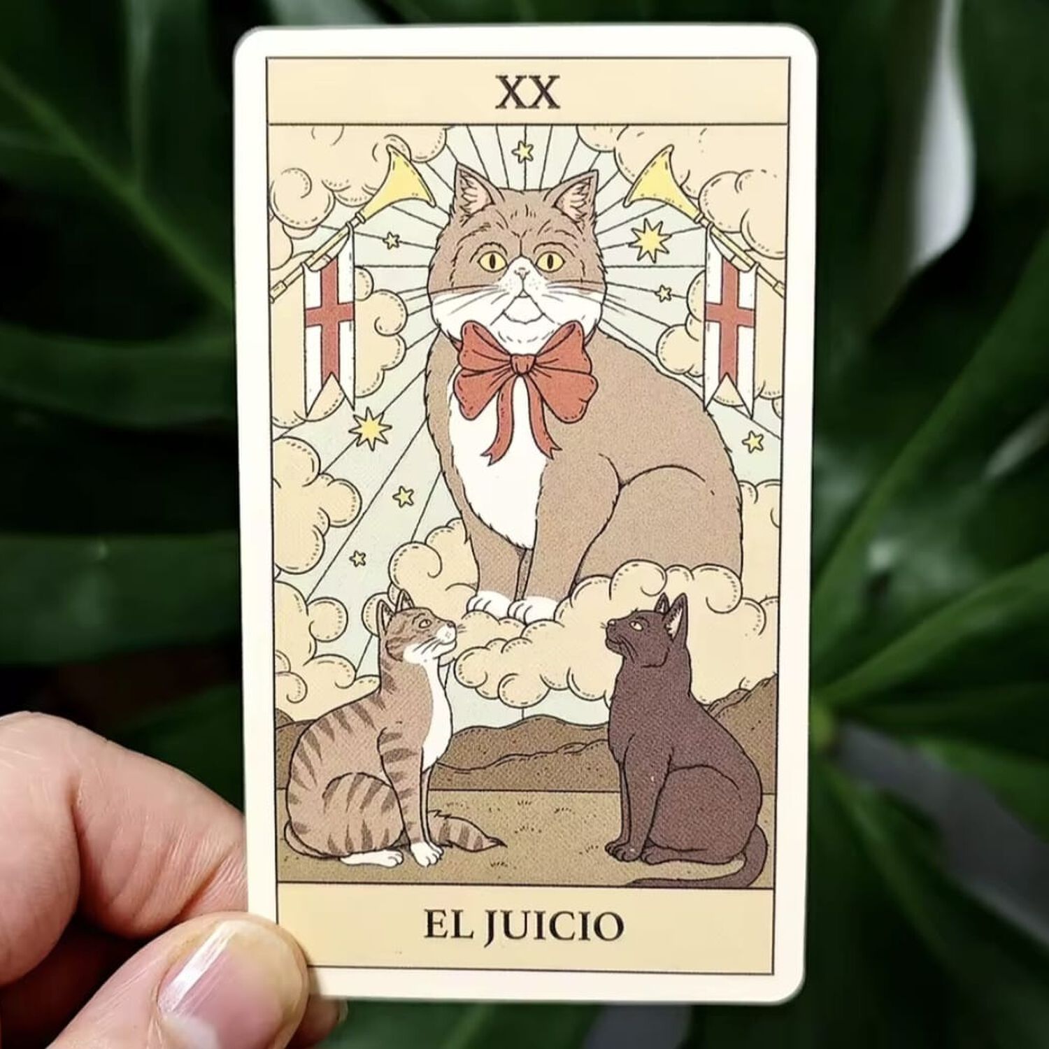 Tarot De Los Gatos 78 Cartas En Espanol image number 2.0