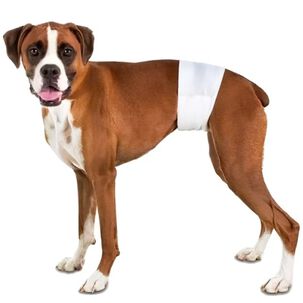 25 Pa&ntilde;ales Perros/gatos Macho M