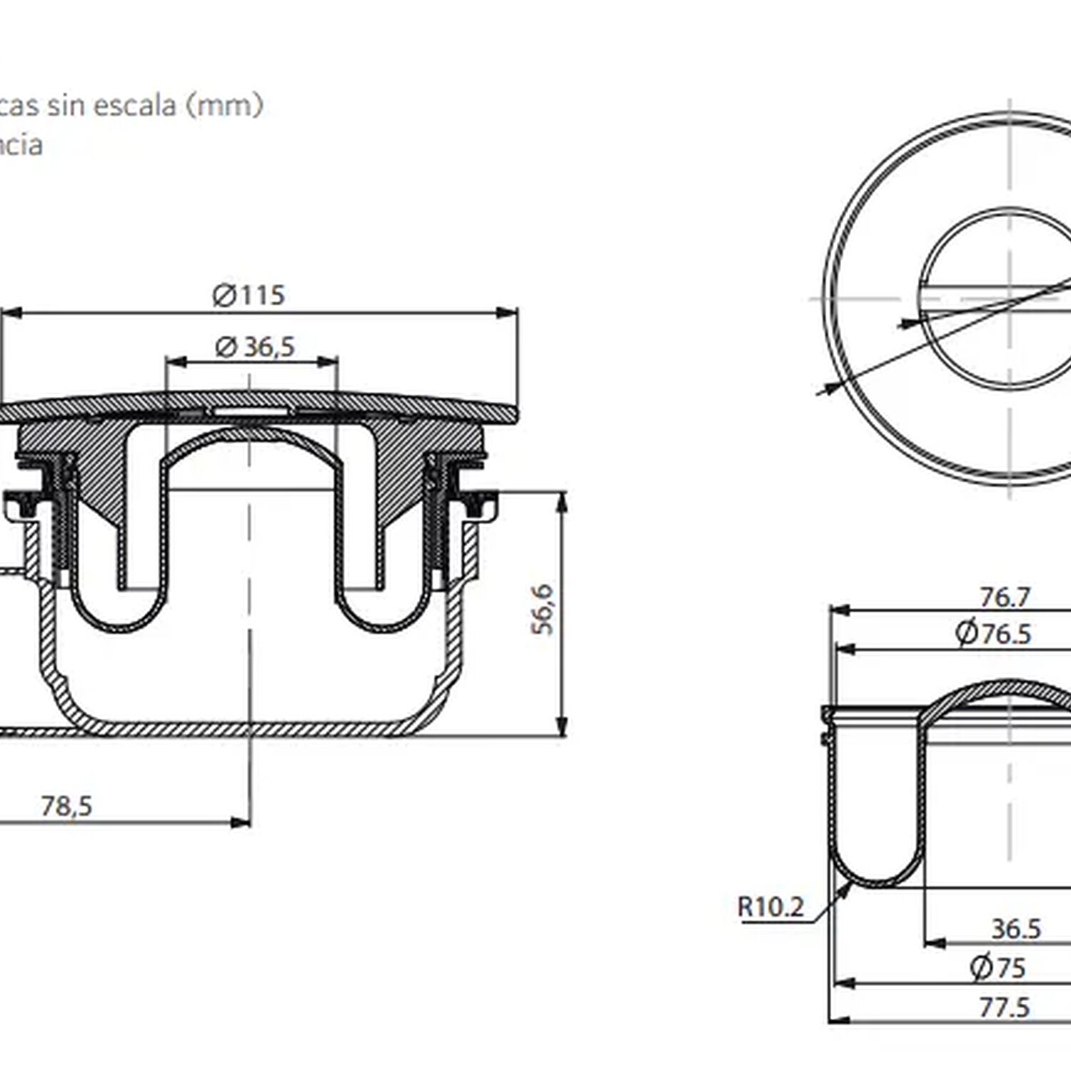 Desag&uuml;e Recept&aacute;culo Acr&iacute;lico Circular Con Sif&oacute;n Marca Stretto image number 4.0