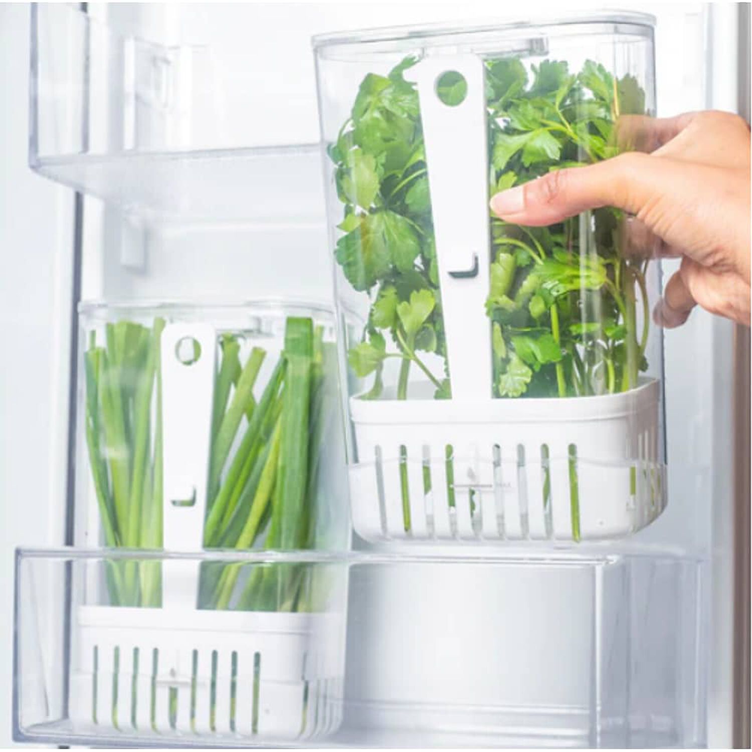 Organizador De Condimentos Refrigerador Clear Fresh 2,3 Lt Ou image number 5.0