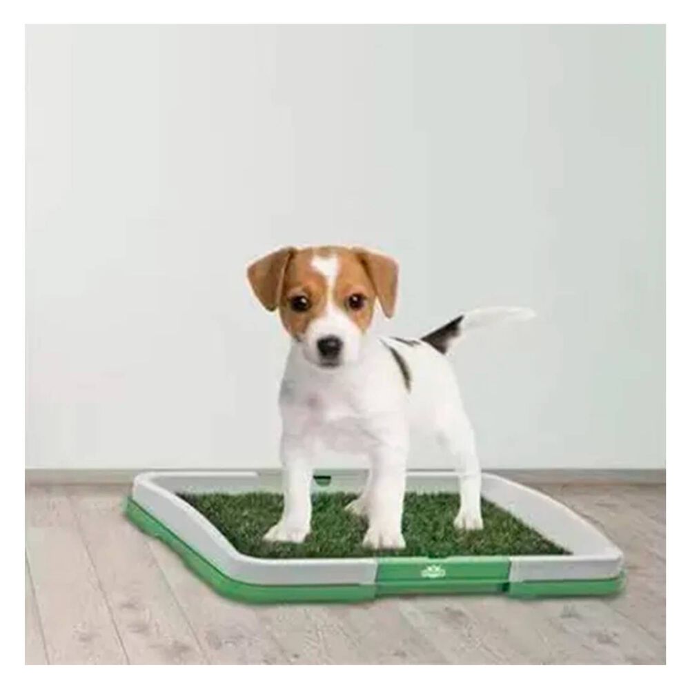 Baño De Pasto Sintetico Perro Pequeño image number 1.0