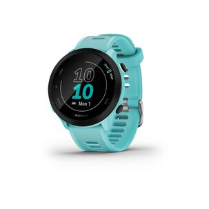 Smartwatch Garmin Forerunner 55 / 1.04"
