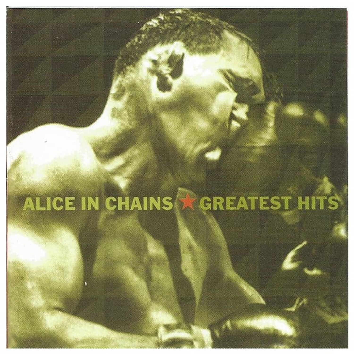 Alice In Chains - Greatest Hits | Cd image number 0.0