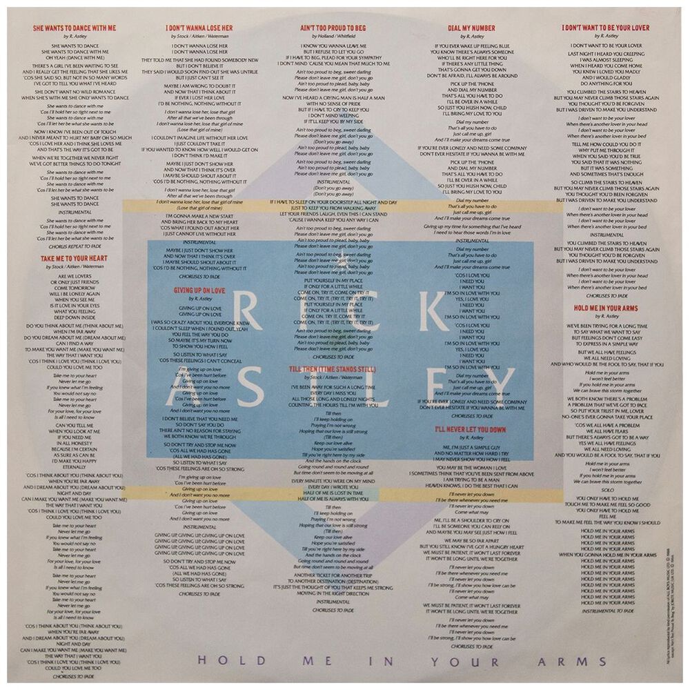 Rick Astley - Hold Me In Your Arms | Vinilo Usado image number 8.0