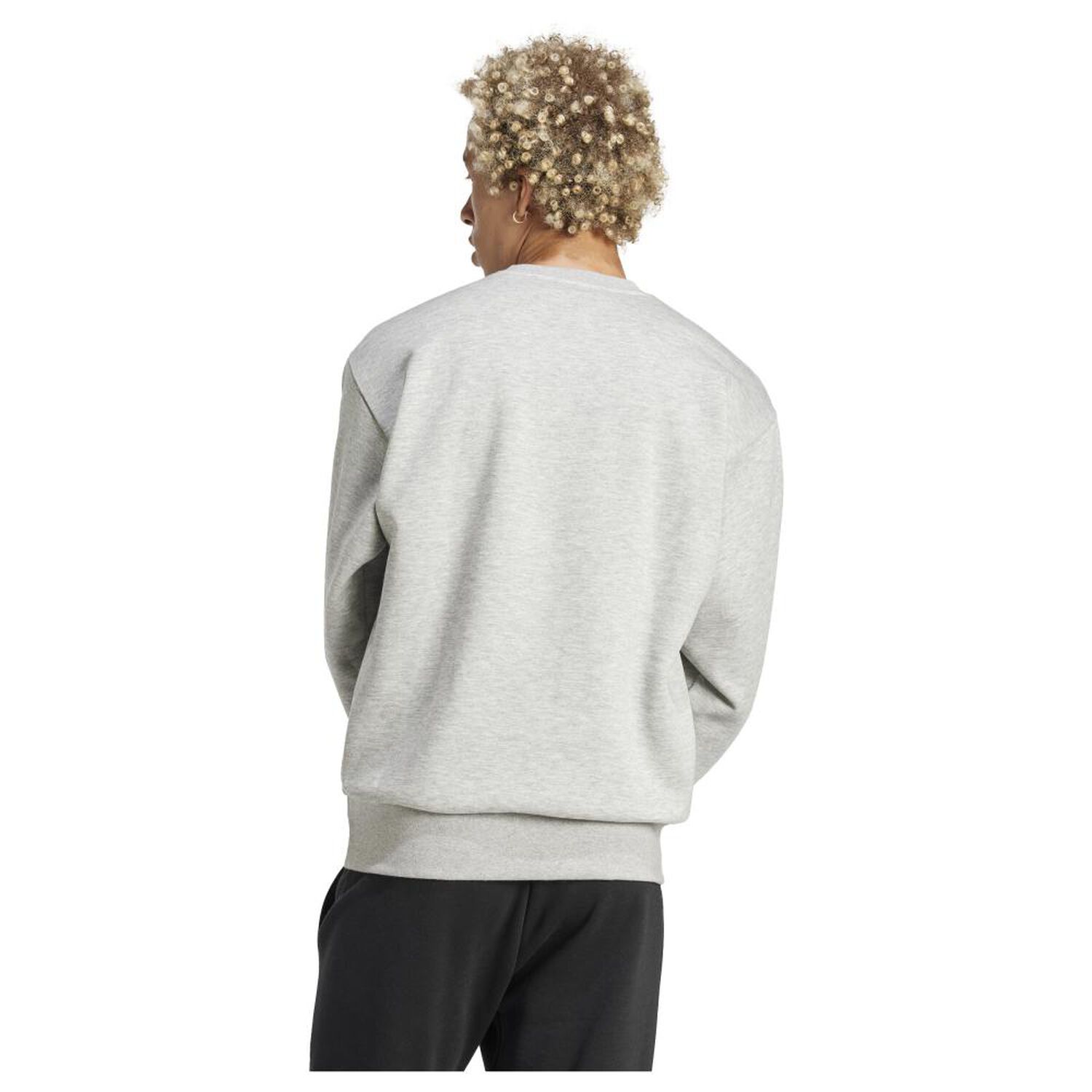 Sudadera Essentials Big Logo Fleece Adidas image number 2.0