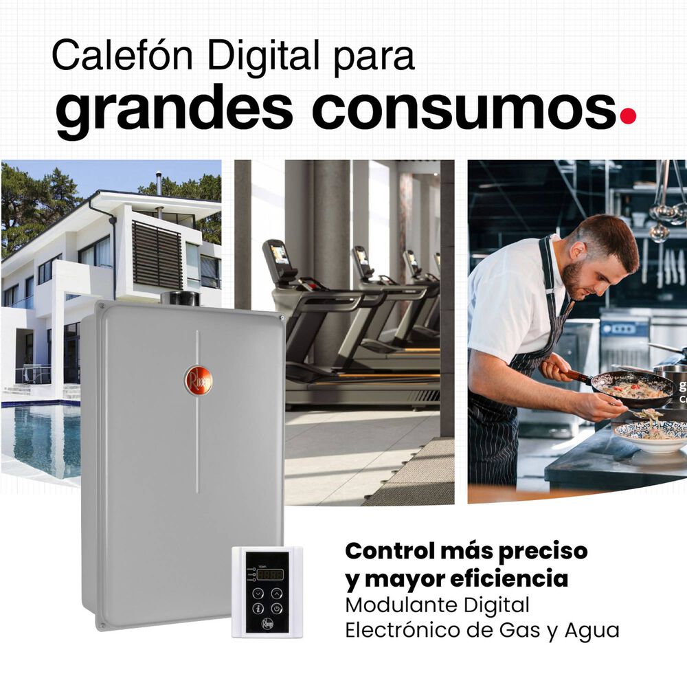 Calefont 28 Litros Gas Natural Tiro Forzado Rheem image number 11.0