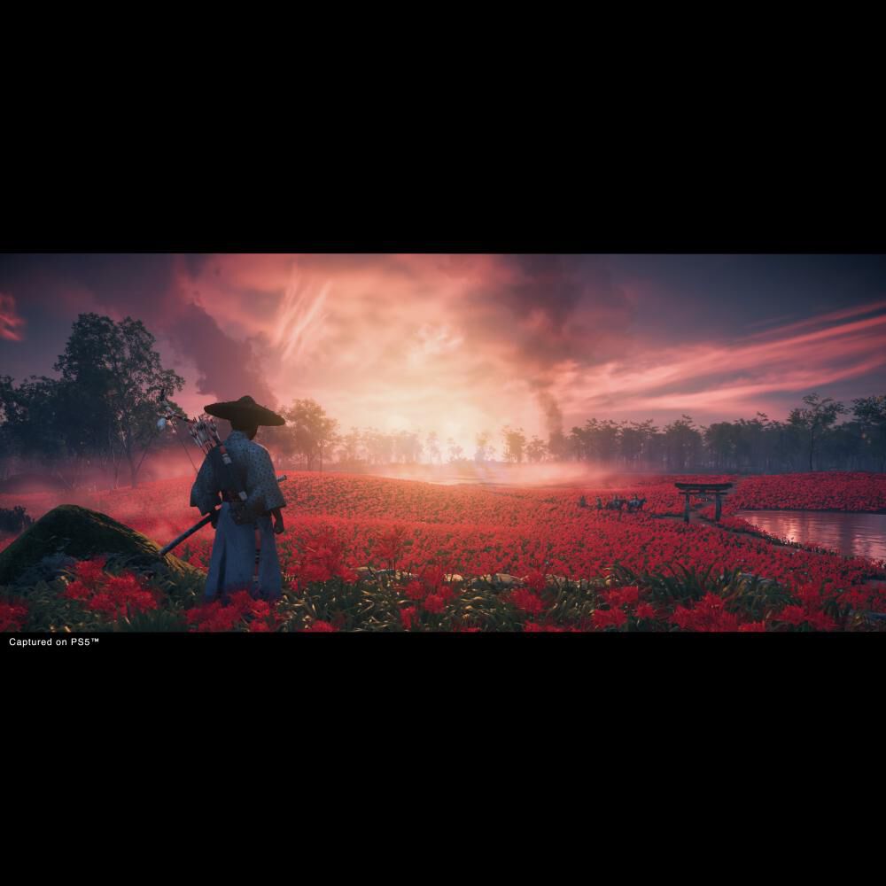 Juego PS4 Sony Ghost Of Tsushima image number 4.0