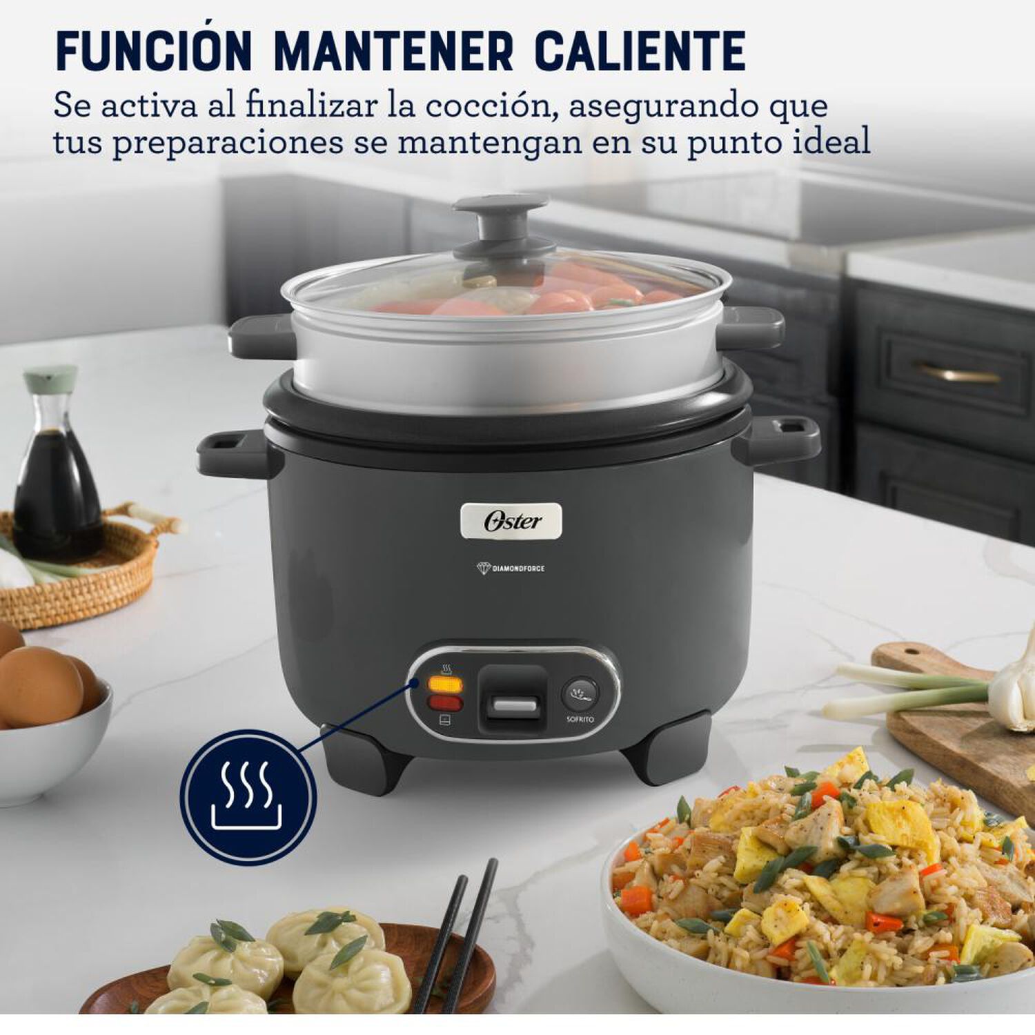 Arrocera Oster CKSTRC10DFSKE-052 / 1.8 Litros image number 11.0