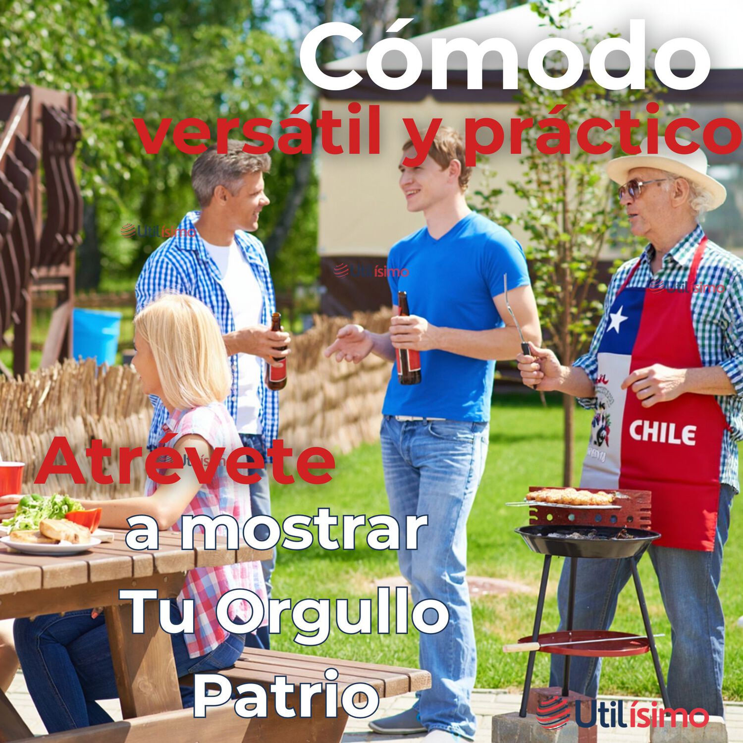 Delantal Cocina Fiestas Patrias Bandera Chilena 60x90 Cm Condorito image number 5.0