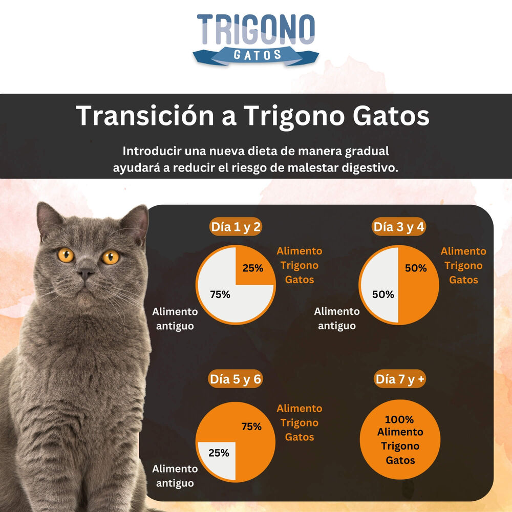 Alimento Para Gato Adulto Trigono 10kg image number 4.0