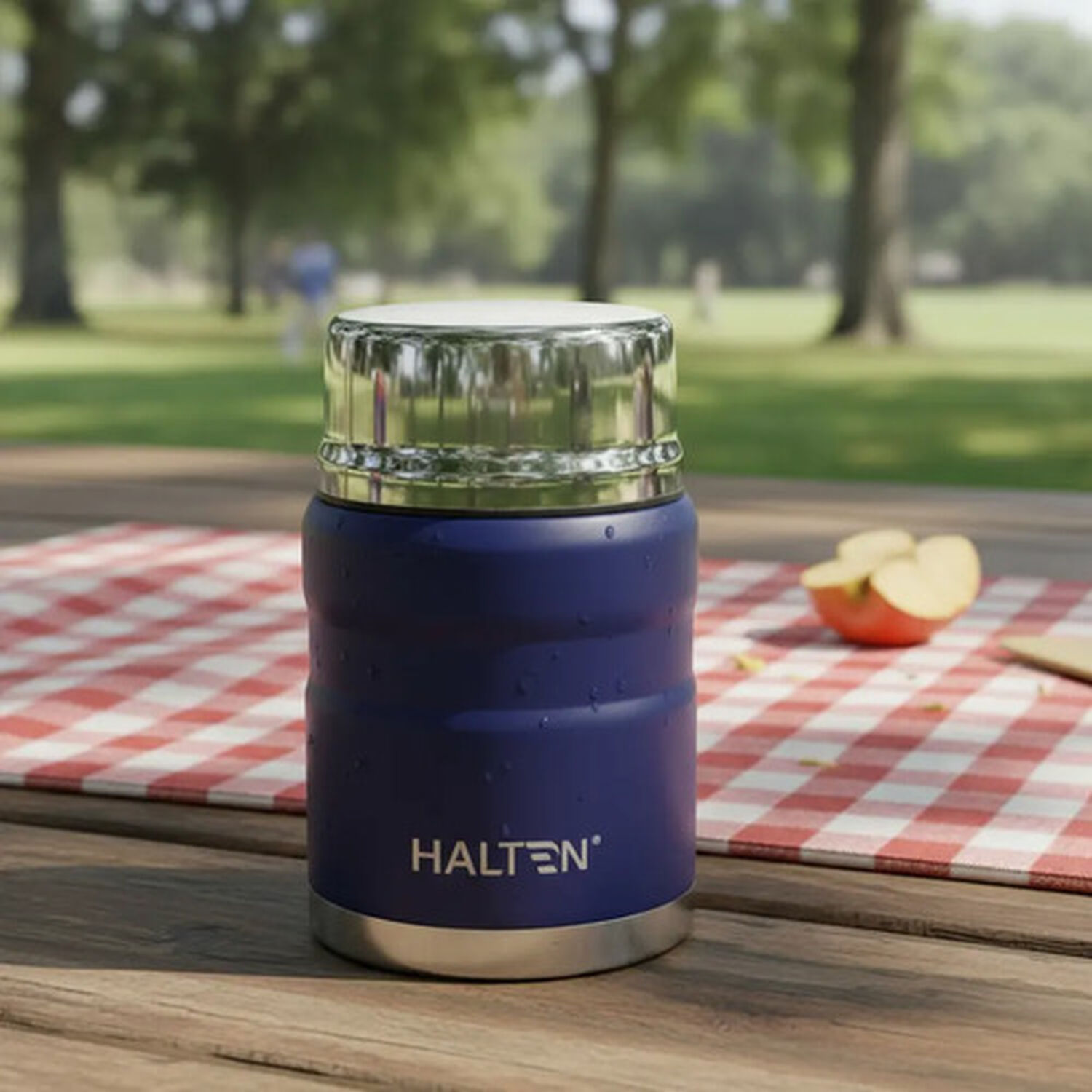 Termo Comida Acero Inox 750 Ml Halten Azul image number 0.0