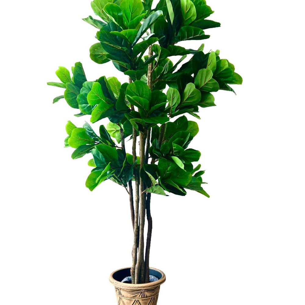 Planta Artificial Ficus Premium Lyrata 180 Cm. / 232 Hojas image number 0.0