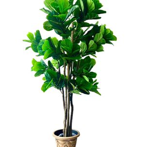 Planta Artificial Ficus Premium Lyrata 180 Cm. / 232 Hojas