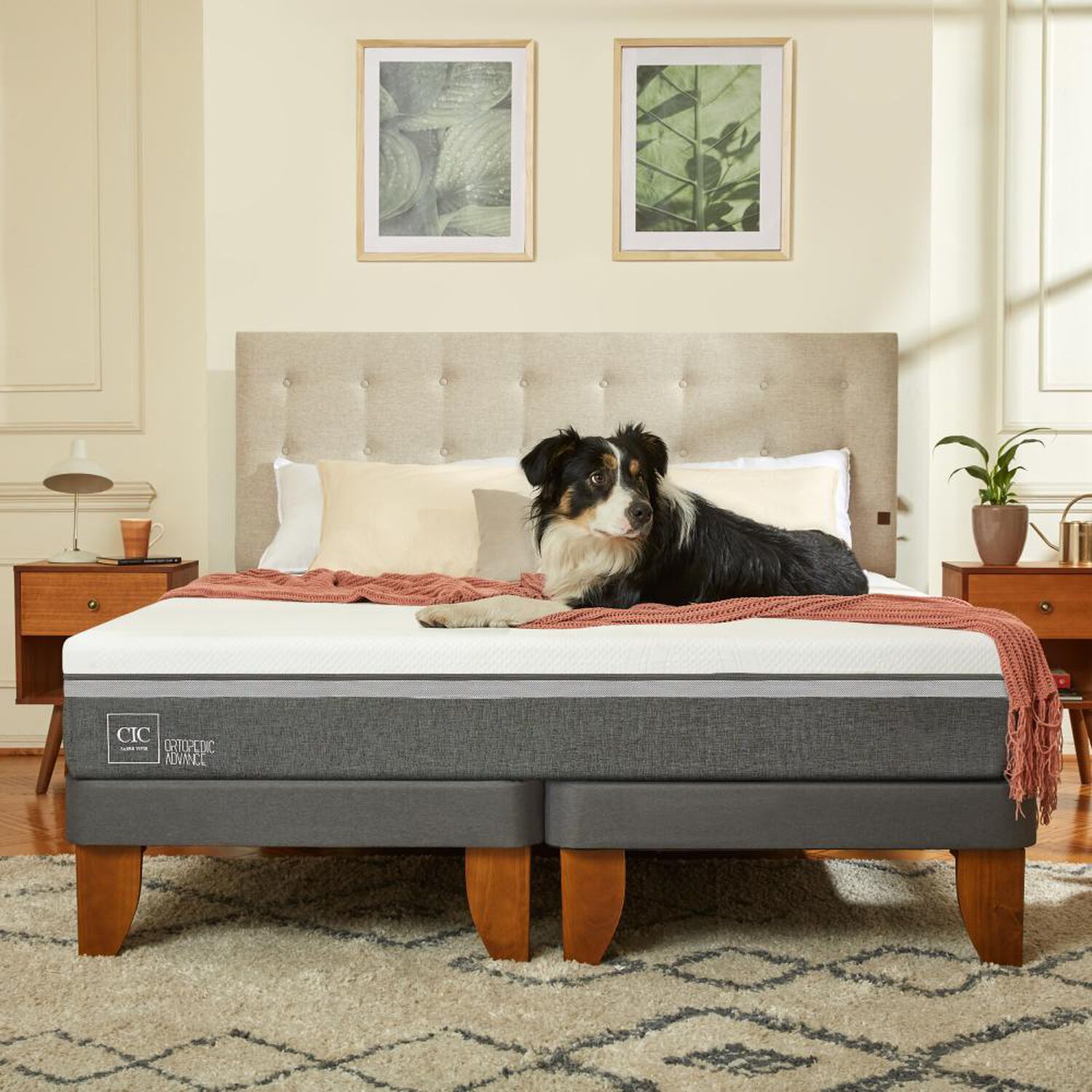 Cama Europea Cic Ortopedic Advance / 2 Plazas / Base Normal + Respaldo image number 10.0