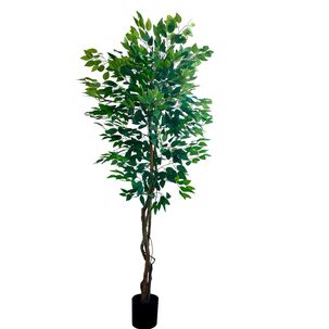 Planta Artificial Ficus Premium 180 Cm / 1288 Hojas / Arbusto Real
